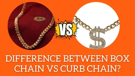 Difference Between Box Chain Vs Curb Chain: Ultimate Guide